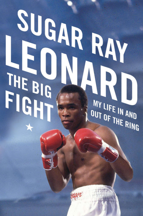 Cover image for book The Big Fight