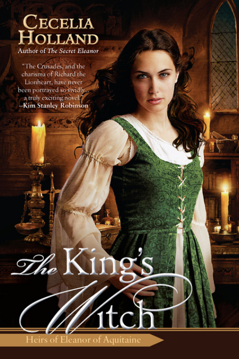 Cover image for book The King's Witch