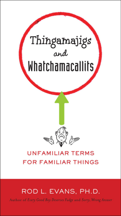Cover image for book Thingamajigs and Whatchamacallits