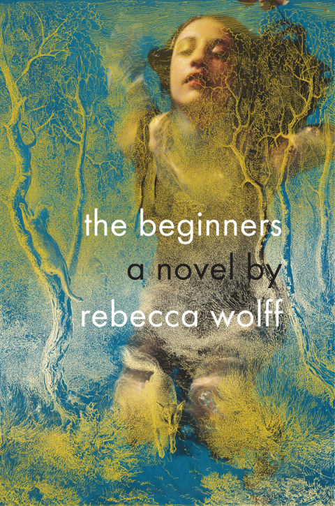 Cover image for book The Beginners