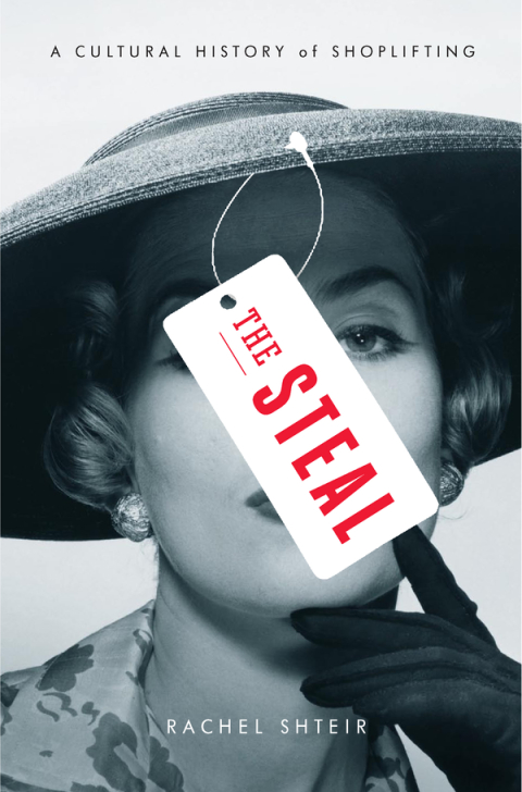 Cover image for book The Steal