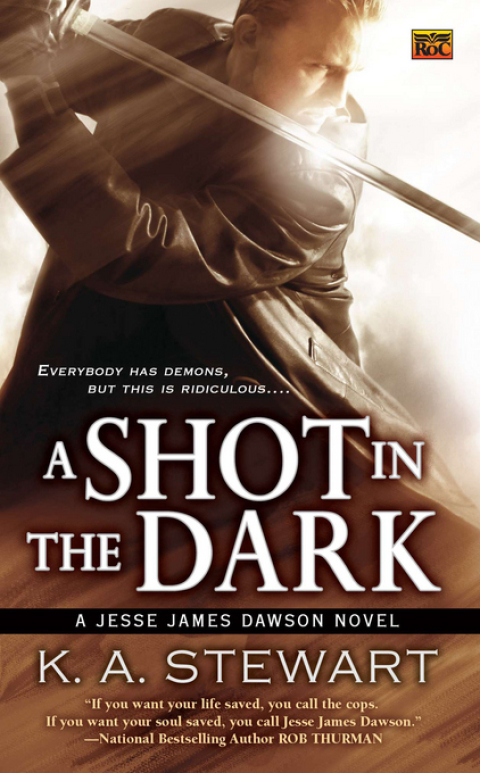 Cover image for book A Shot in the Dark