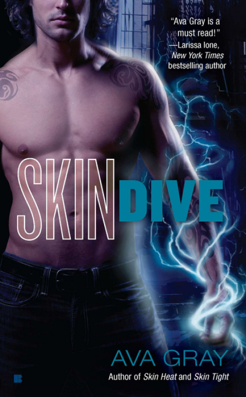 Cover image for book Skin Dive