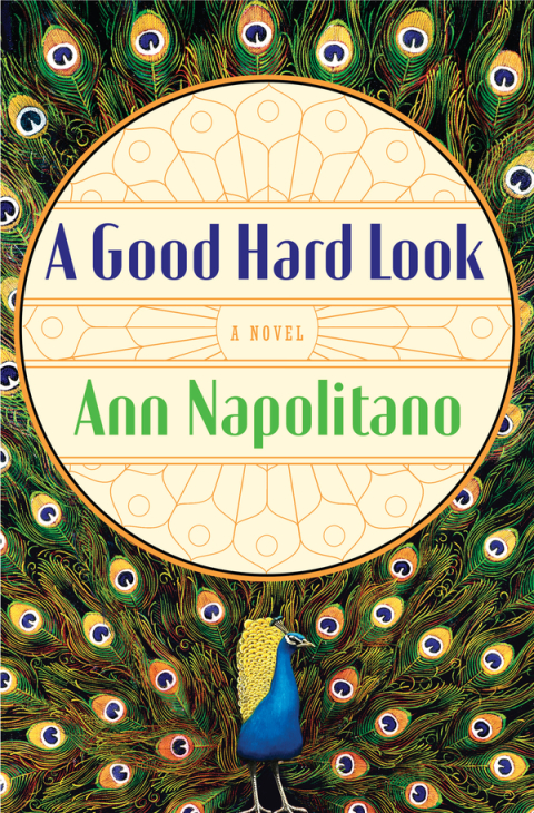 Cover image for book A Good Hard Look