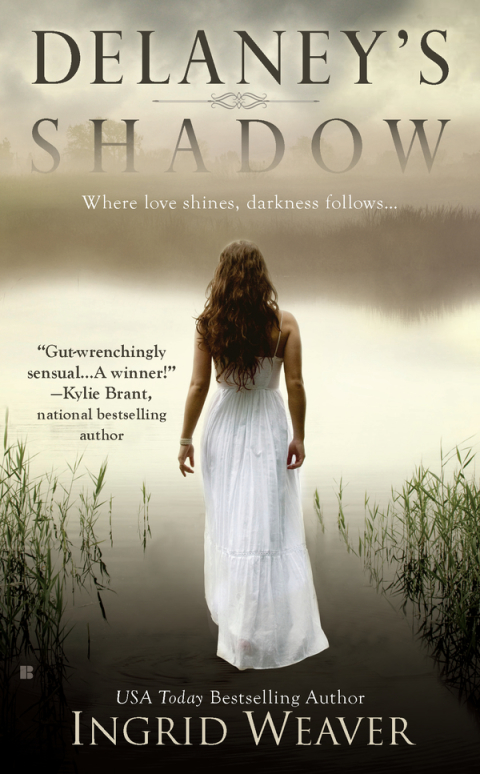 Cover image for book Delaney's Shadow
