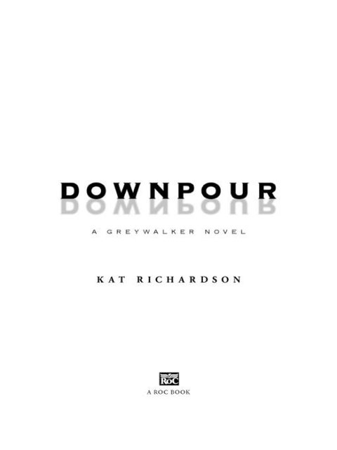 Cover image for book Downpour