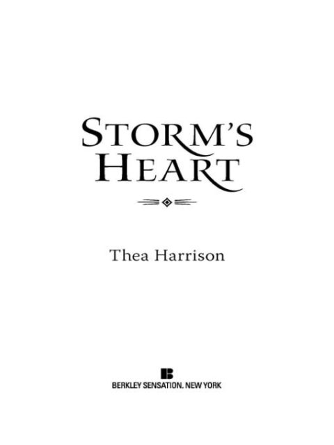 Cover image for book Storm's Heart