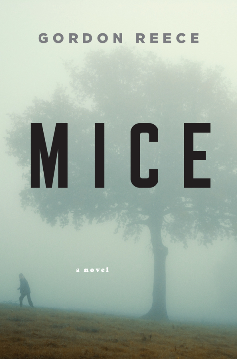 Cover image for book Mice