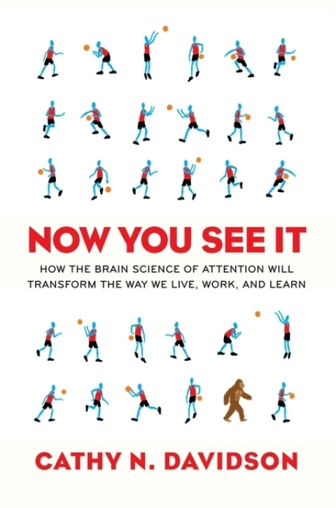 Cover image for book Now You See It