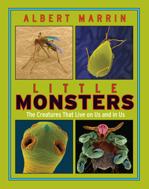 Cover image for book Little Monsters: The Creatures that Live on Us and in Us