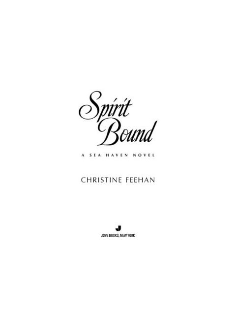 Cover image for book Spirit Bound