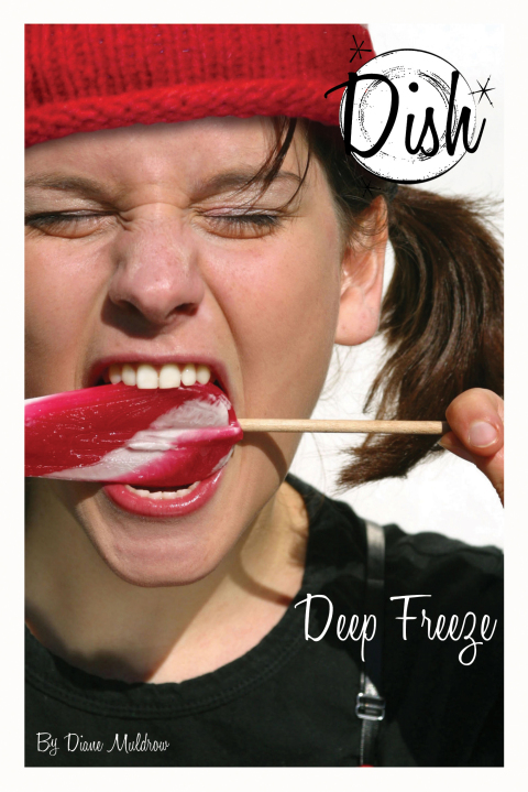 Cover image for book Deep Freeze #12