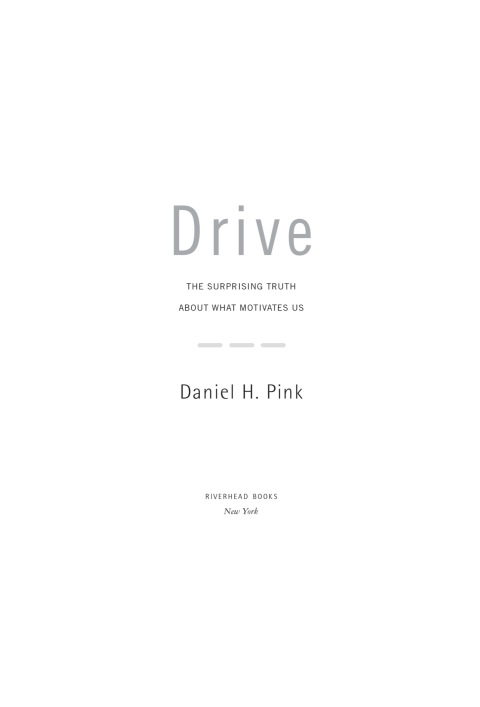 Cover image for book Drive