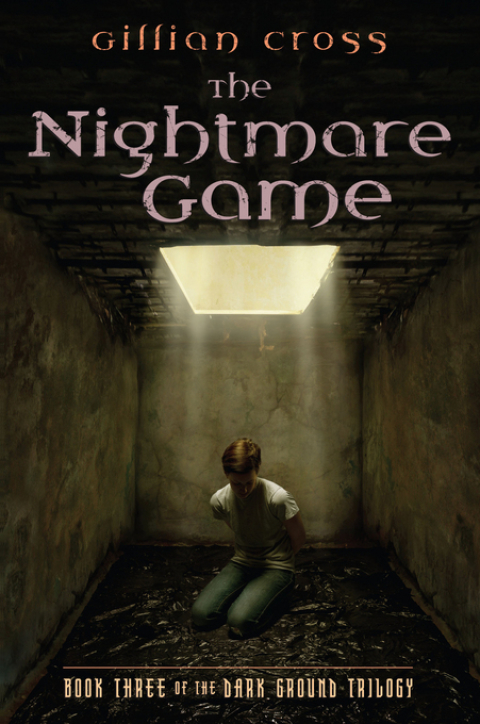 Cover image for book Dark Ground #3: The Nightmare Game