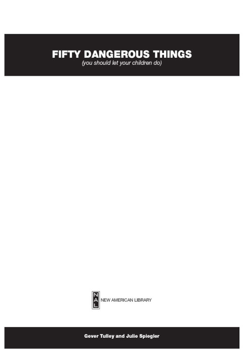Cover image for book 50 Dangerous Things (You Should Let Your Children Do)