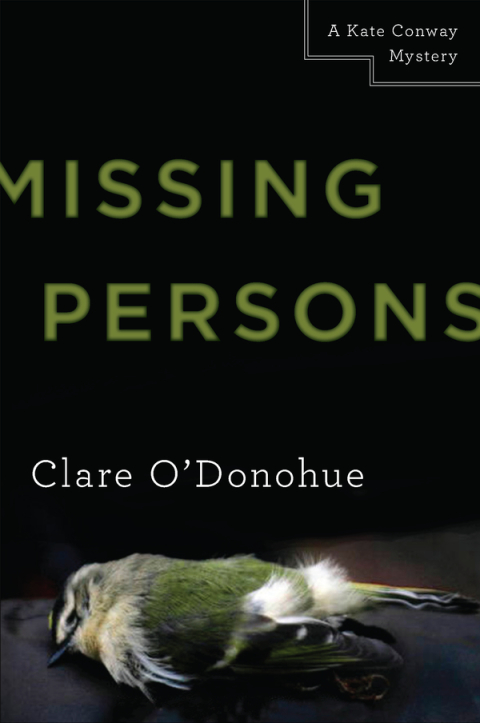 Cover image for book Missing Persons