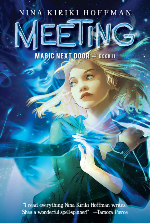 Cover image for book Meeting