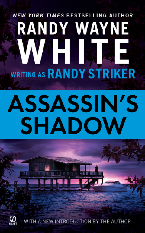 Cover image for book Assassin's Shadow