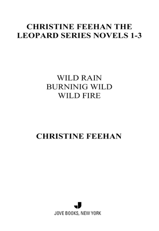 Christine Feehan The Leopard Series Novels 1-3