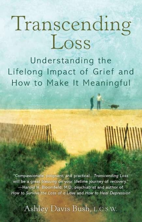 Cover image for book Transcending Loss