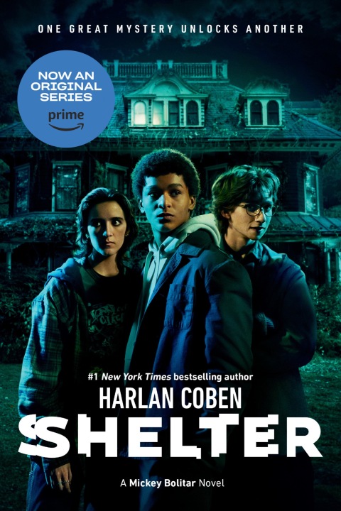 Cover image for book Shelter (Book One)