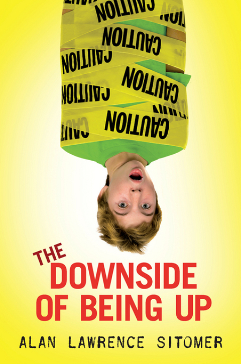 Cover image for book The Downside of Being Up