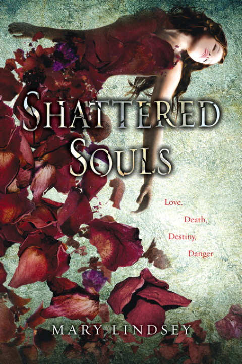 Cover image for book Shattered Souls