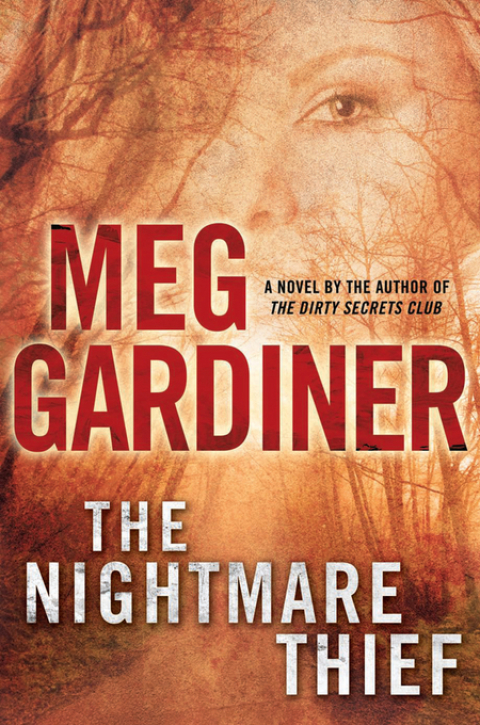 Cover image for book The Nightmare Thief