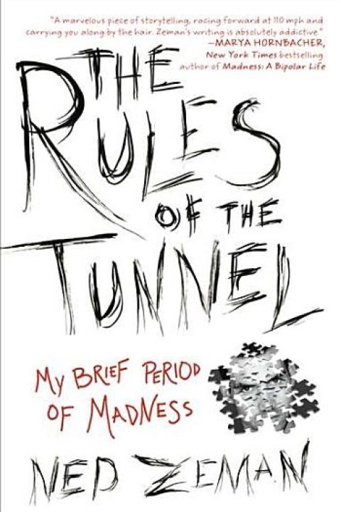 Cover image for book The Rules of the Tunnel