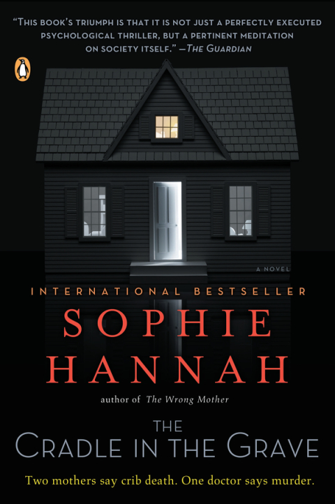 Cover image for book The Cradle in the Grave