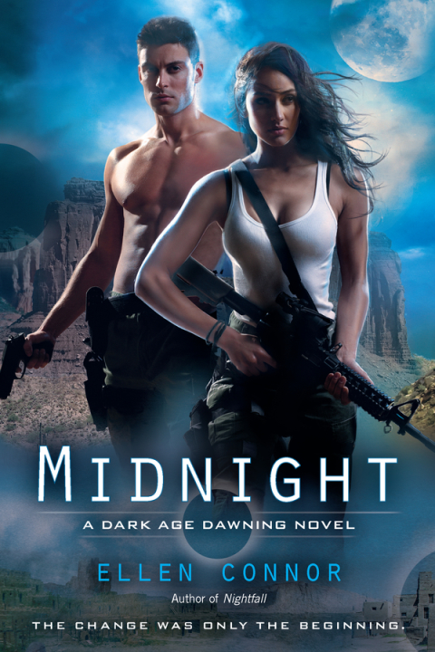 Cover image for book Midnight