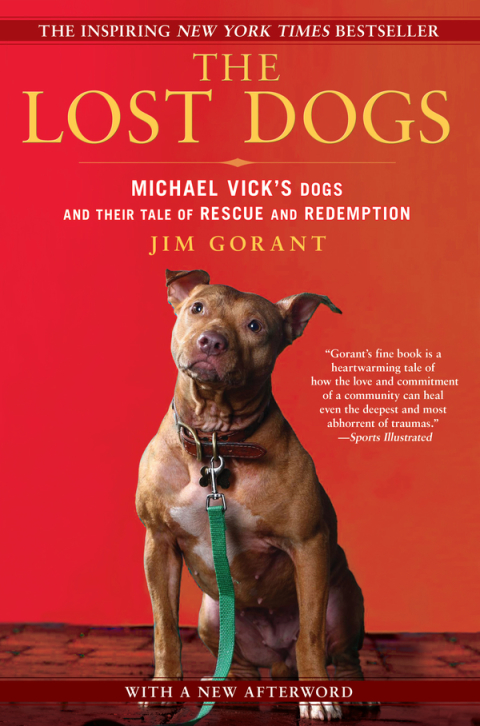 Cover image for book The Lost Dogs
