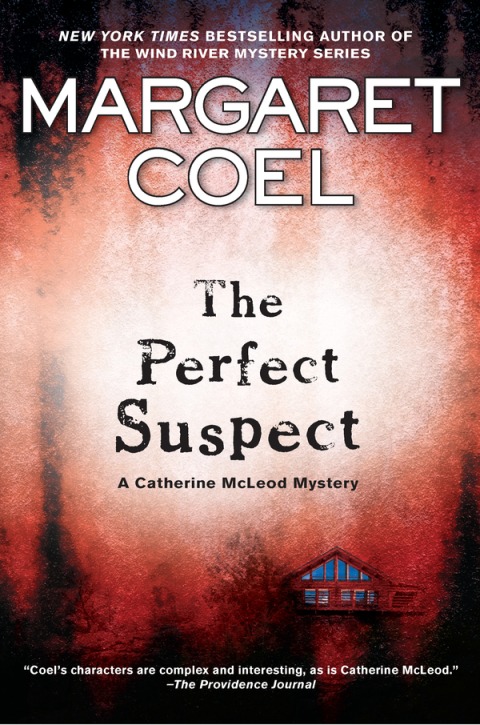 Cover image for book The Perfect Suspect
