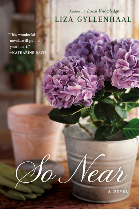 Cover image for book So Near