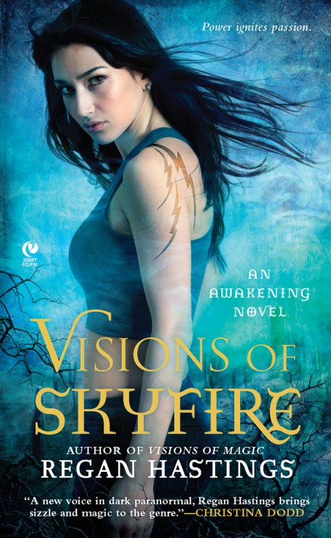 Cover image for book Visions of Skyfire