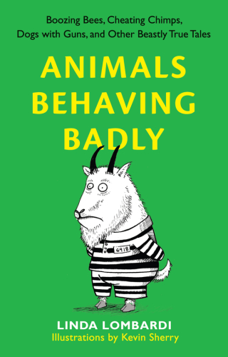 Animals Behaving Badly