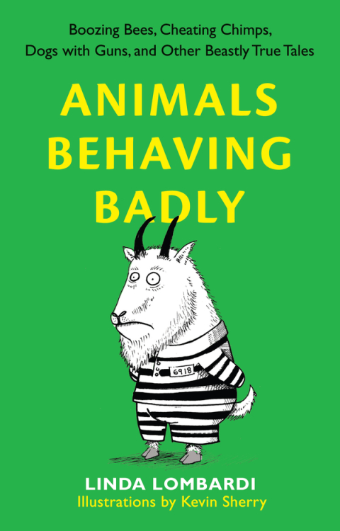 Cover image for book Animals Behaving Badly