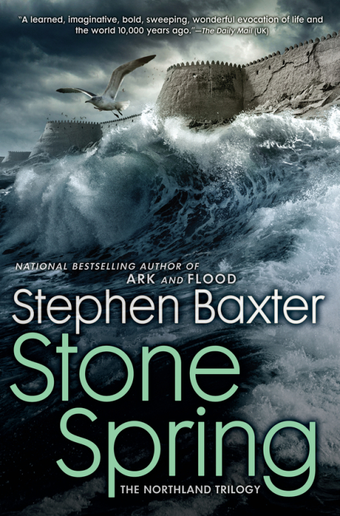 Cover image for book Stone Spring