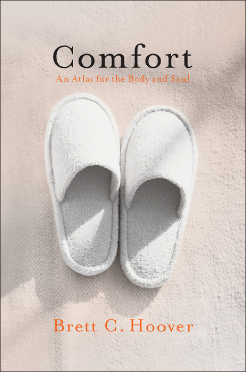 Cover image for book Comfort