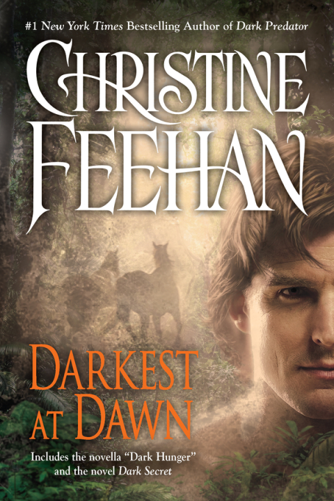 Cover image for book Darkest at Dawn