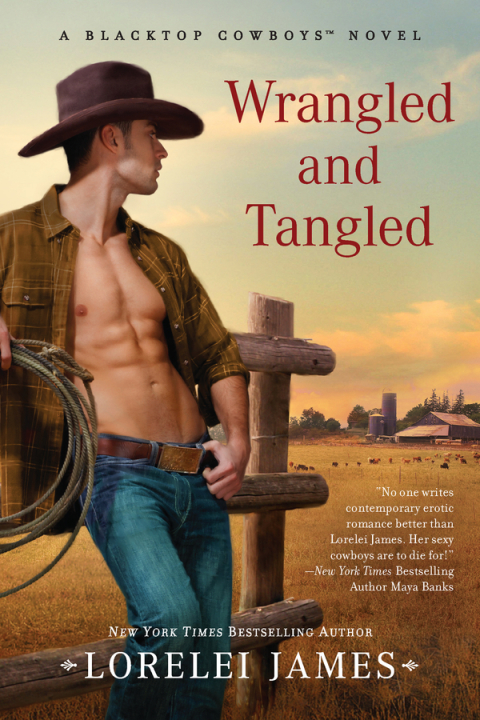 Cover image for book Wrangled and Tangled