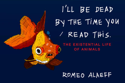 Cover image for book I'll Be Dead by the Time You Read This