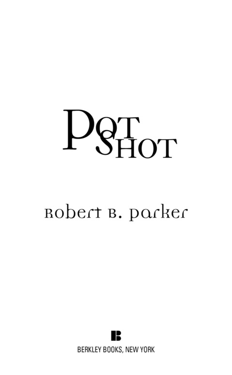 Cover image for book Potshot
