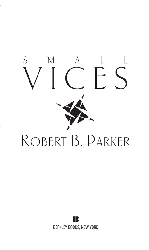 Cover image for book Small Vices