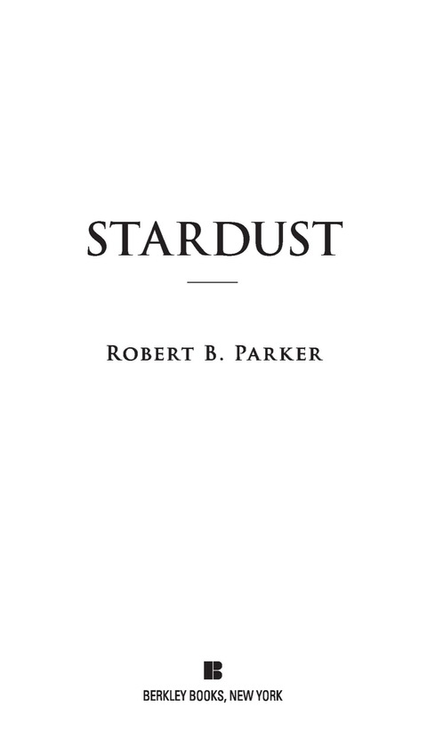 Cover image for book Stardust