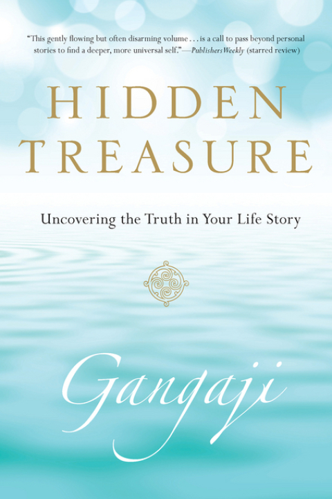 Cover image for book Hidden Treasure