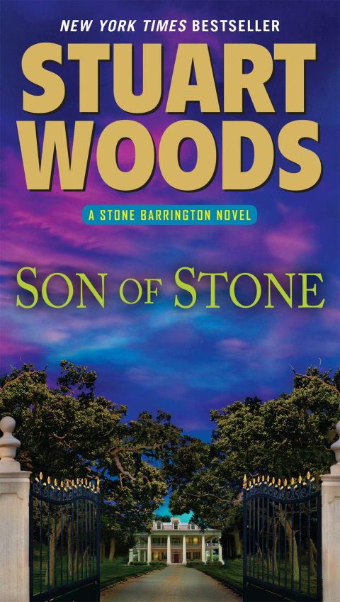 Cover image for book Son of Stone