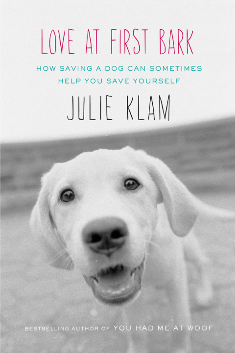 Cover image for book Love at First Bark