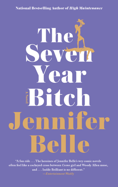 Cover image for book The Seven Year Bitch
