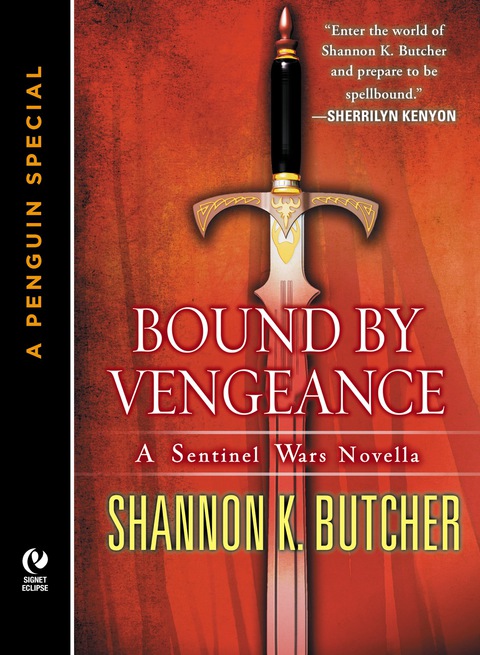 Cover image for book Bound by Vengeance
